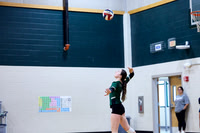 Taryn Volleyball Favorites 2025