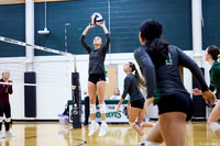 Mallory Massey VB Favorites