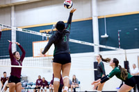 Amber Kim Volleyball Faves