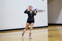 Hannah Wang VB